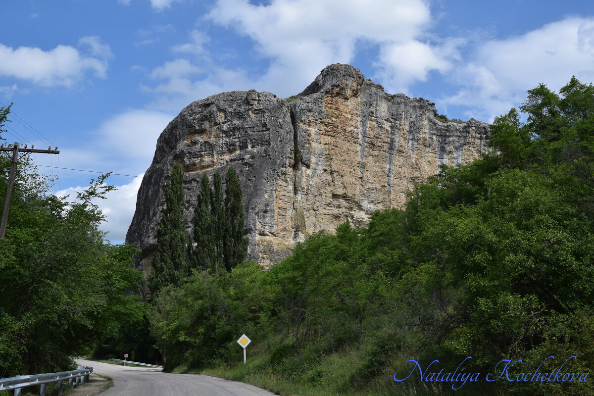Природа Крыма - Amazing Cosmea