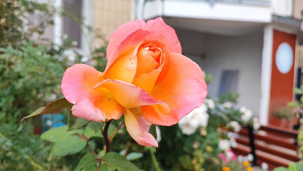 ,,, - Сергей Тимоновский ,,, - Сергей Тимоновский