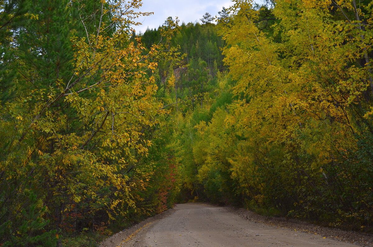 *** - Мишель71 