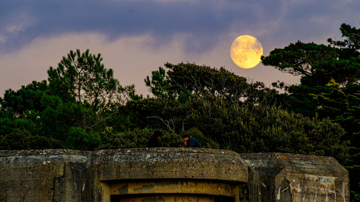 Луна над. немецким бункером Второй Мировой Войны - Георгий А