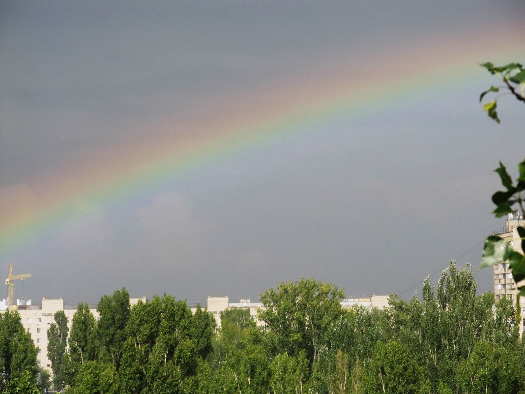 про лето - Елена Шаламова