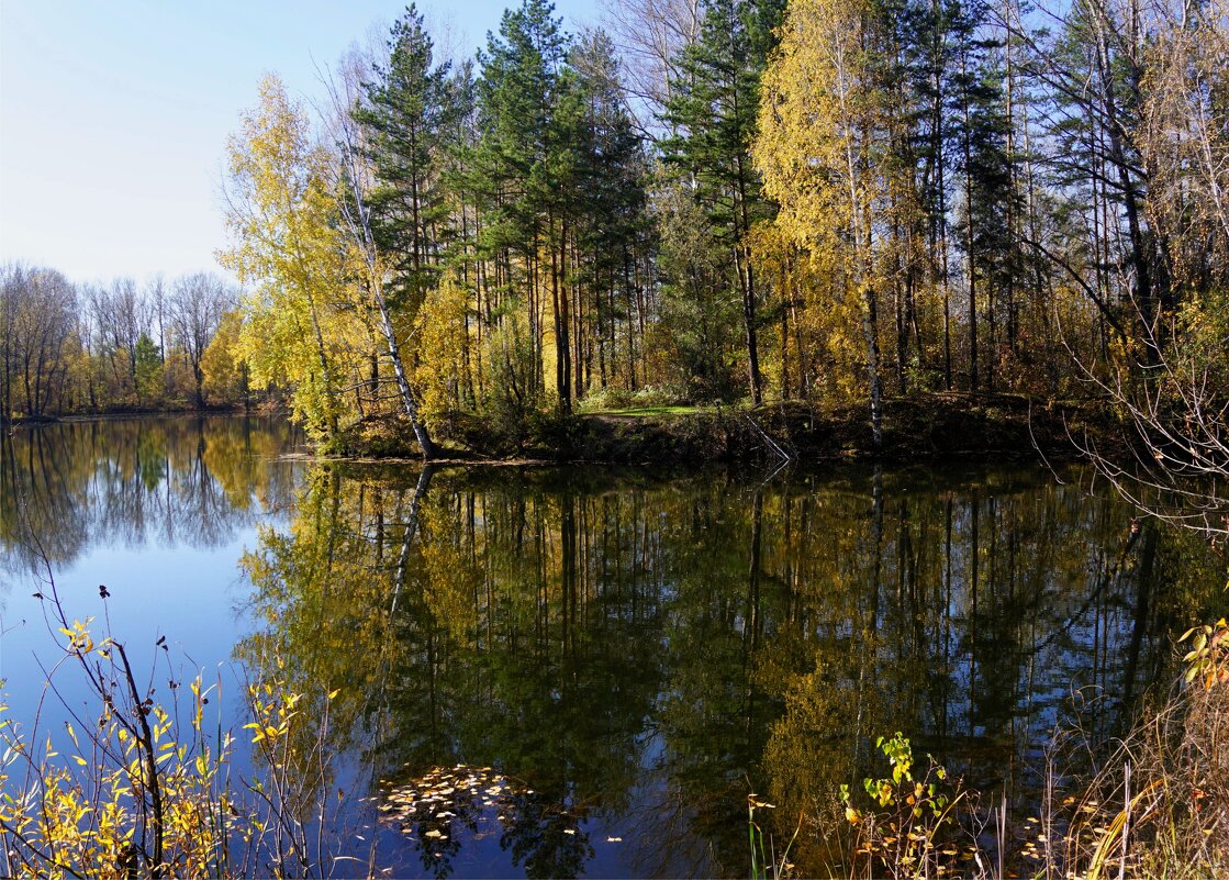 Зеркало Осени - Наталия Григорьева
