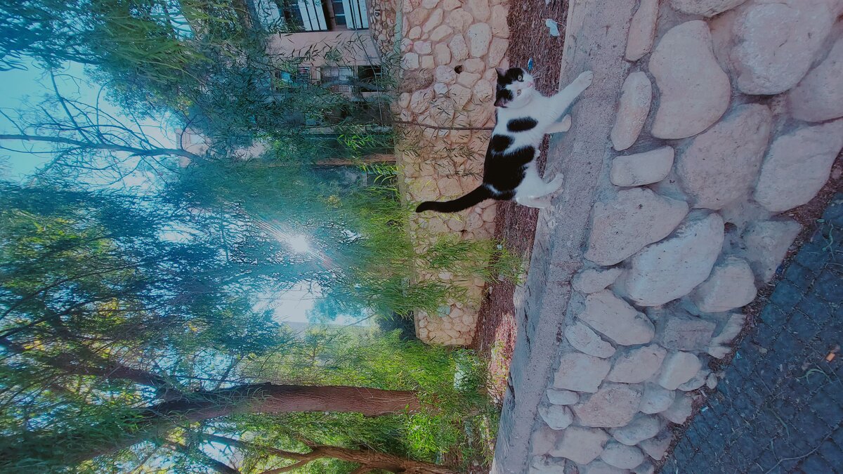 13  ОПЕН (468) - OPEN WAYS ALL