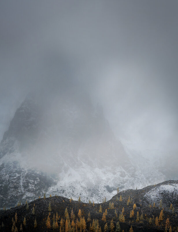 * - Александр Иванов
