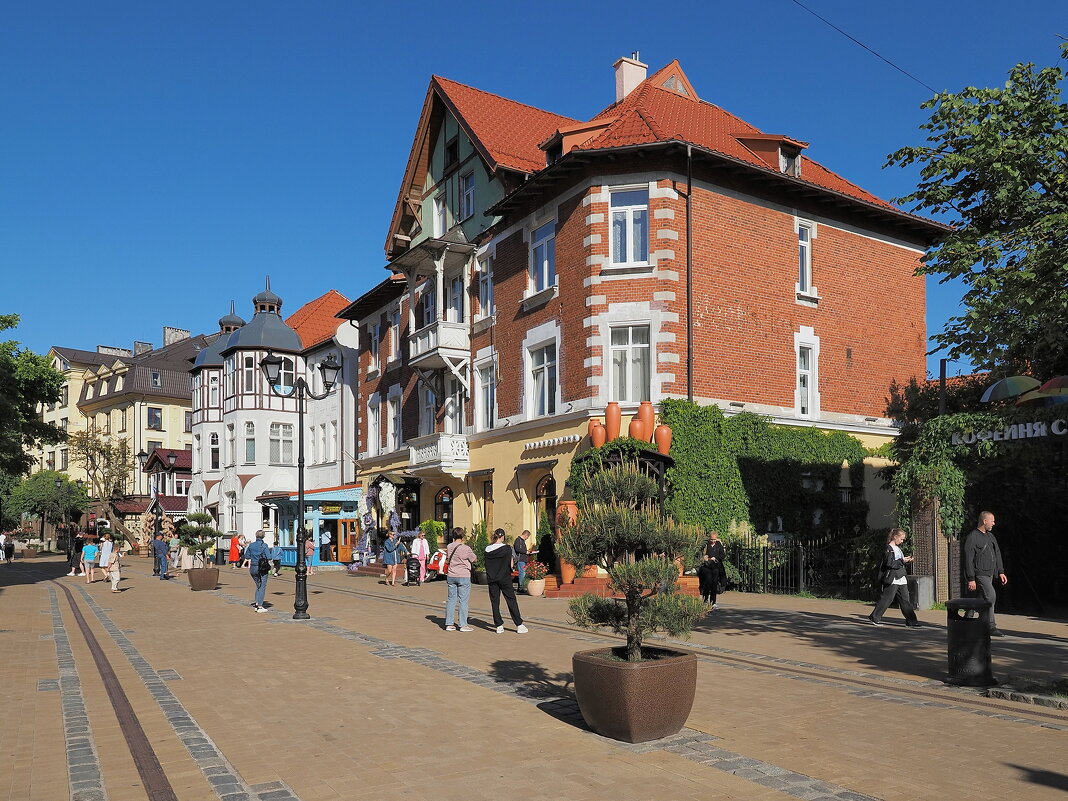 Зеленоградск и Курортный проспект. - Евгений Седов