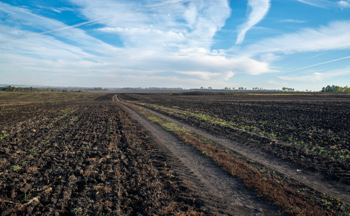 Прогулка по полям - Владимир Иванович