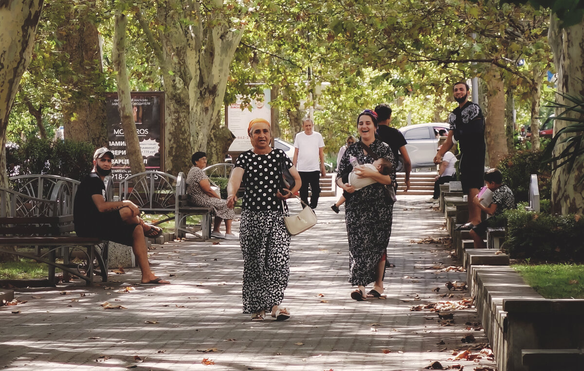 Цыганские страсти - Сергей Царёв