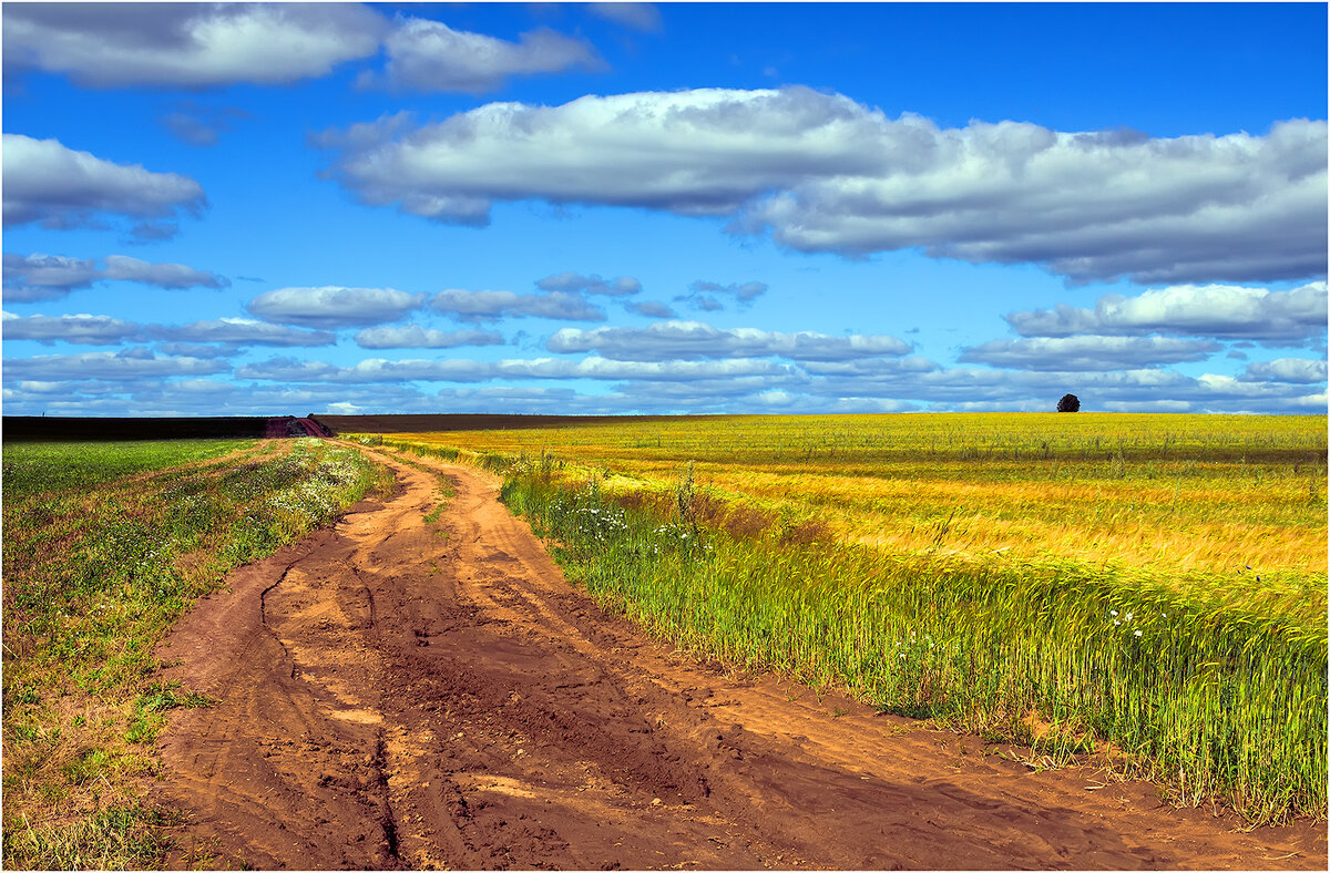 Летний этюд - Валентин Котляров