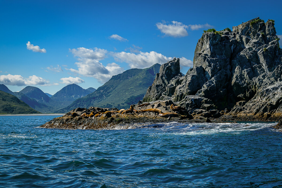 ... - Жора Житников