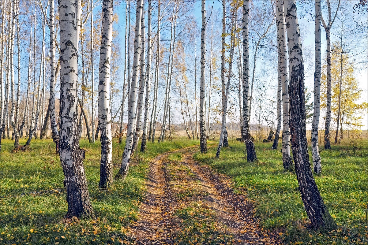 Осень - **** vedin