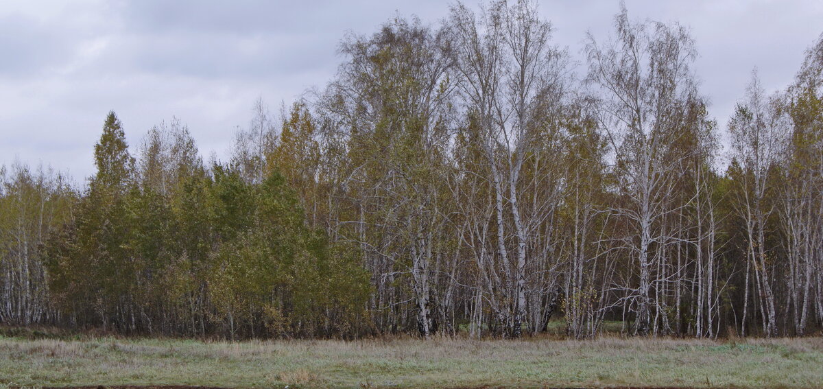Краски октября. - сергей ермошкин