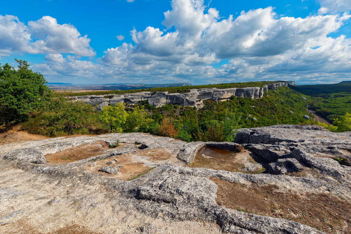 ***** - Виталий Емельянов