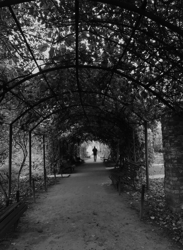 Незнакомец - Лариса Корж