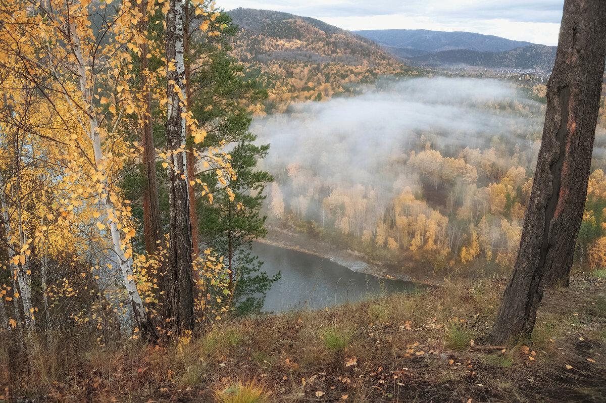 Утро на Манской петле - Марина Фомина.