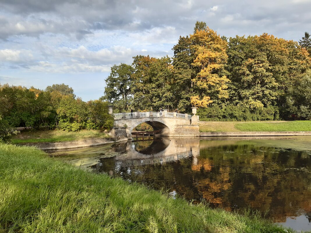 Павловск, Павловский парк - Галина Минчук