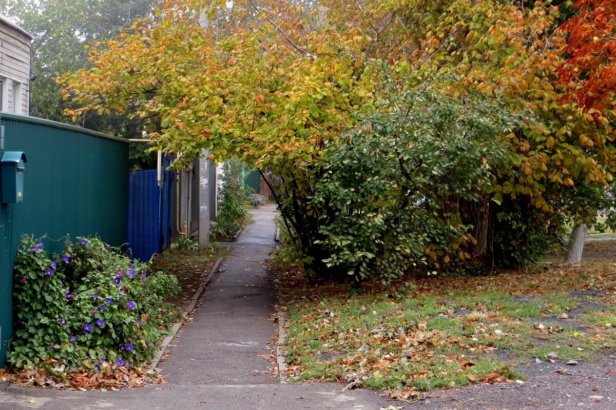 Пасмурно в душе и за душою, если там, внутри, надежды нет… - Татьяна Смоляниченко