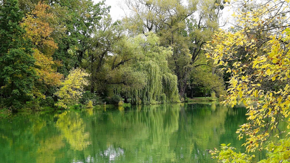 Картинки октября - Рита Симонова