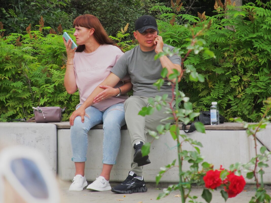 и не вместе , и не врозь - Елена Шаламова