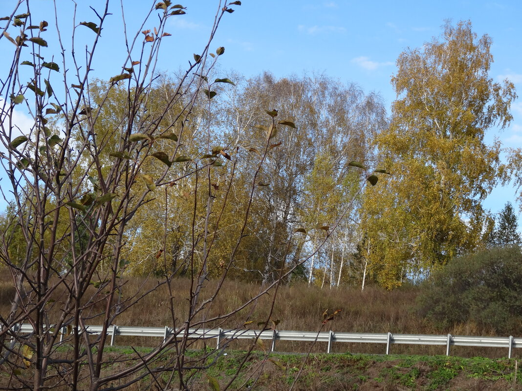 ОСЕННЯЯ ПОРА - СЕРГЕЙ ФИЛОЧКИН