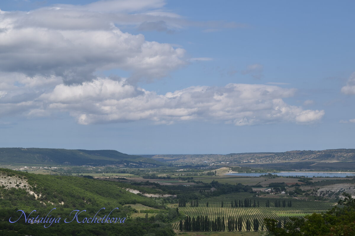 Природа Крыма - Amazing Cosmea