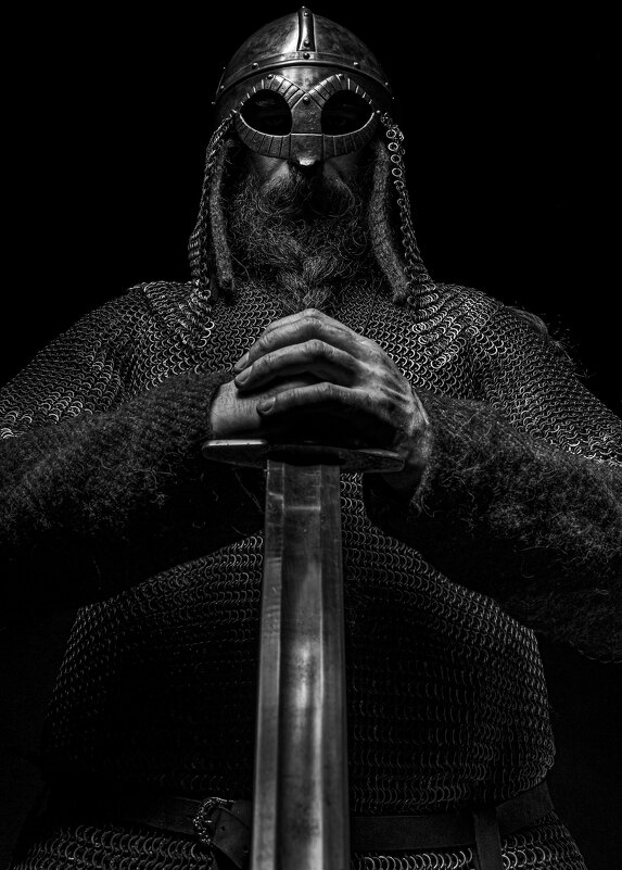 викинг - Николай Шерстнев