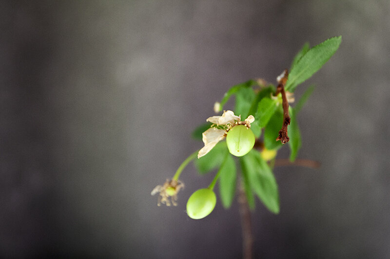 Союз - Дмитрий 