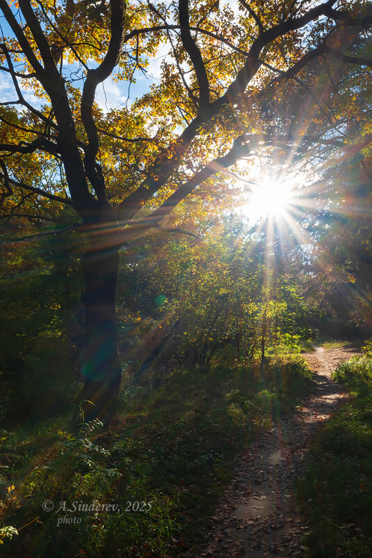 Солнце осени - Александр Синдерёв