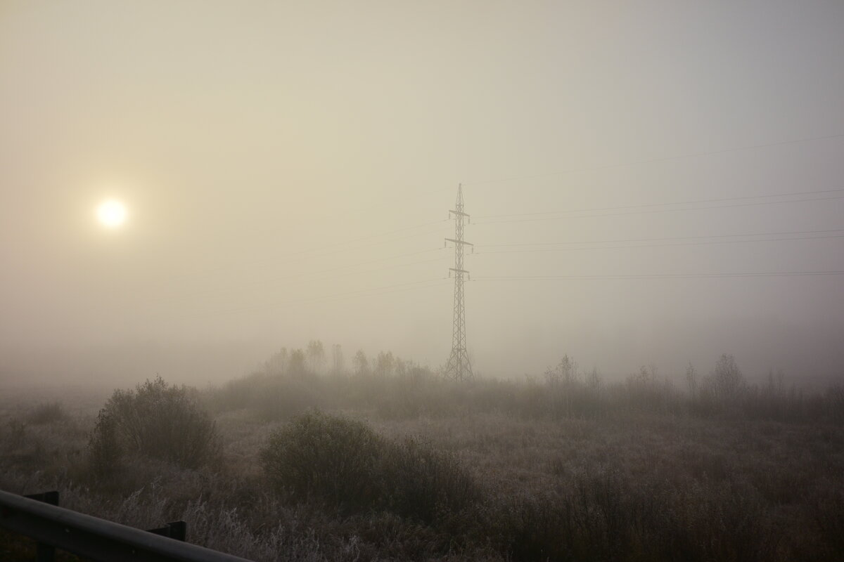 Шёлковые ленты тумана - Владислав Левашов