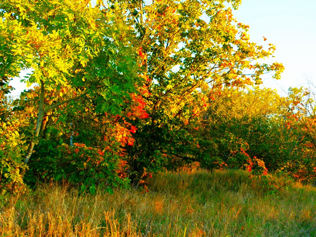 Краски конца сентября 2025 на закате - Aida10 
