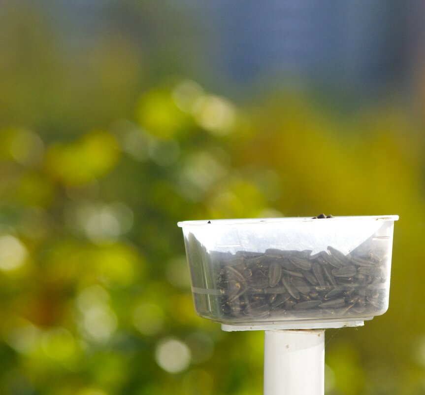 Кушать подано ! - Юрий Куликов