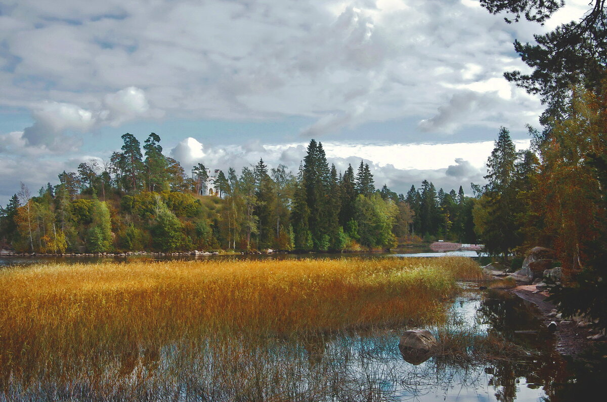 Медовая осень. - Ирэна Мазакина