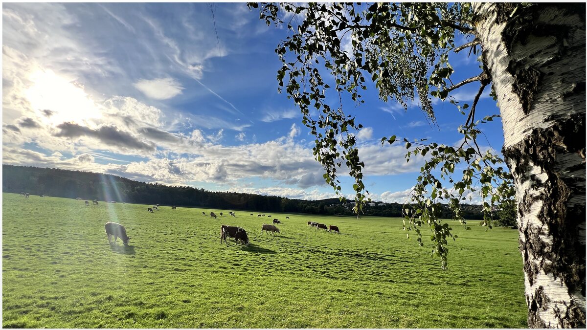 В парке вечер, стало тише. Он теплом последним дышит. Лист тихонько спрыгнул с ветки, Это осень став - "The Natural World" Александер