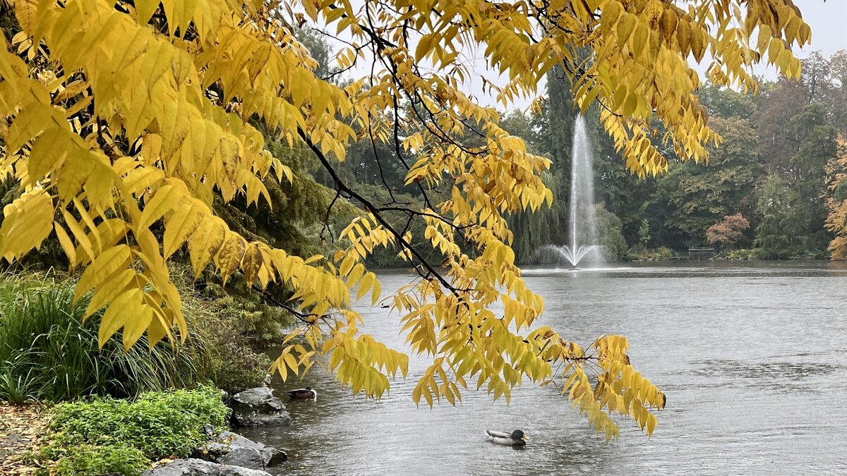 Вспоминать приятно юность Сколько смысла было в ней. - "The Natural World" Александер