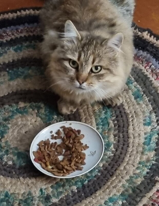 Ты серьезно мне это предлагаешь?.. :) - Наталья Ты серьезно мне это предлагаешь?.. :) - Наталья