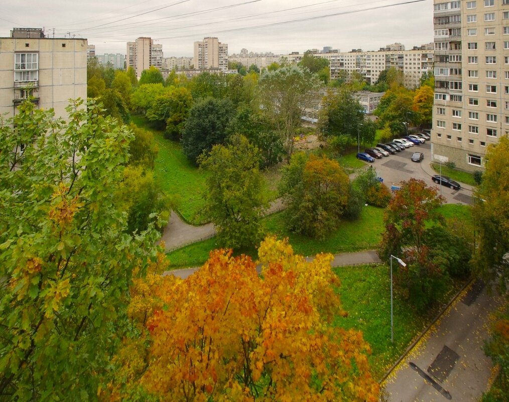 "Падучая" осень была ;) - Юрий Куликов