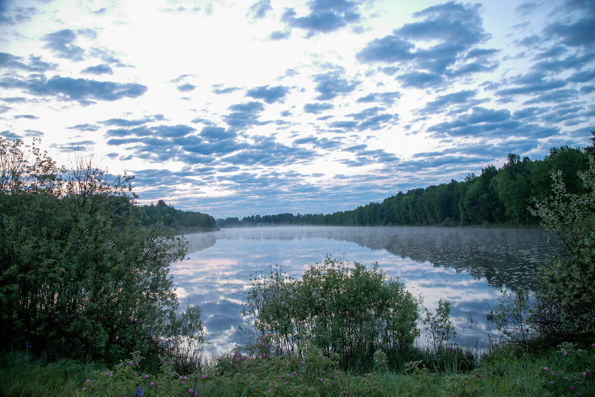 «В час рассвета». - Андрей Костров