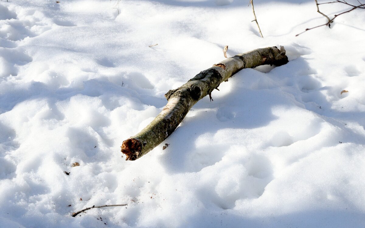Щука - Иван Генералов