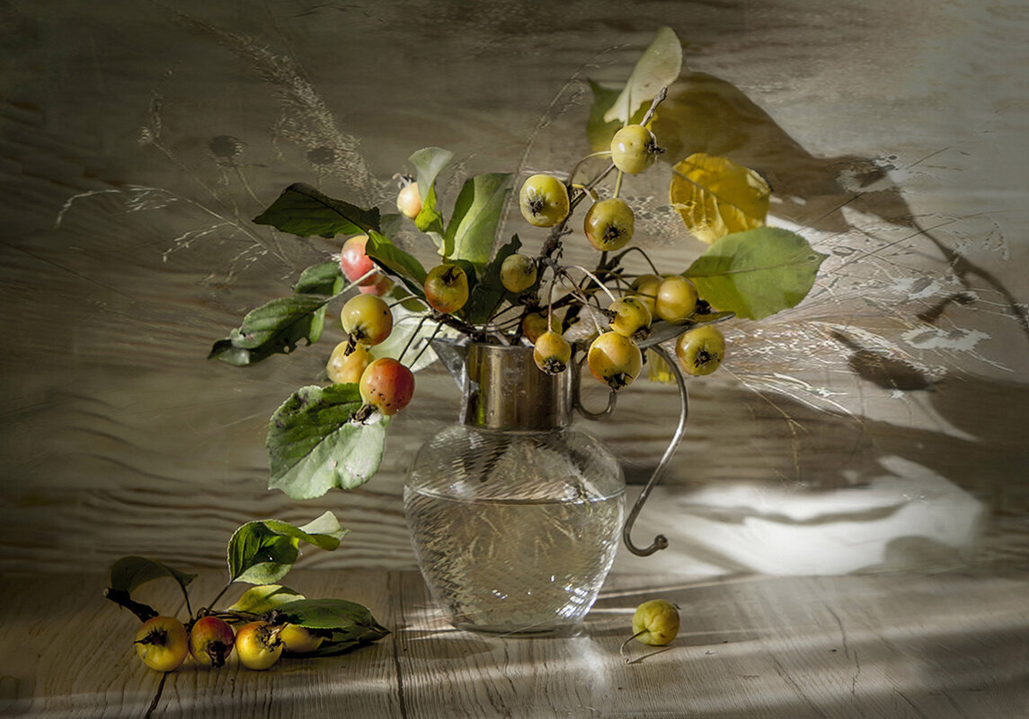 Ветка дикой ранетки в скользящих лучах солнца. - Bosanat Ветка дикой ранетки в скользящих лучах солнца. - Bosanat