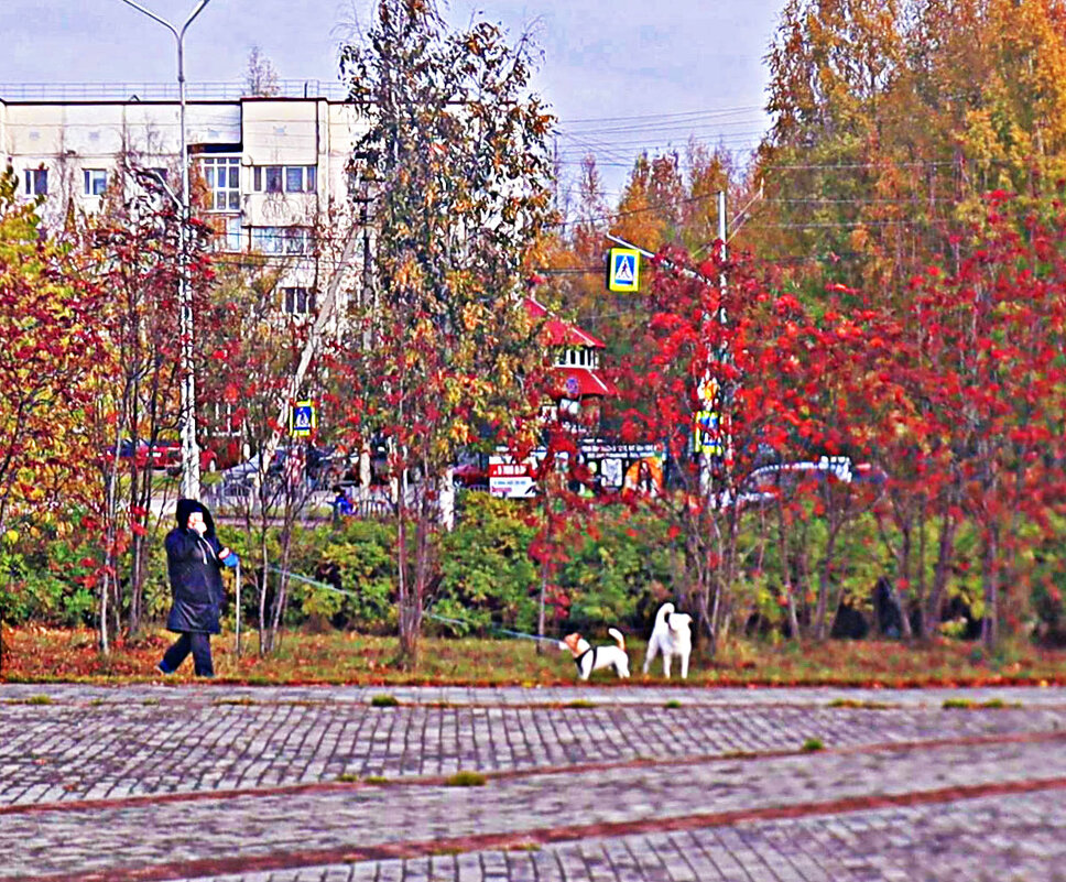 Октябрь...С двумя собачками в городском сквере! - Владимир 