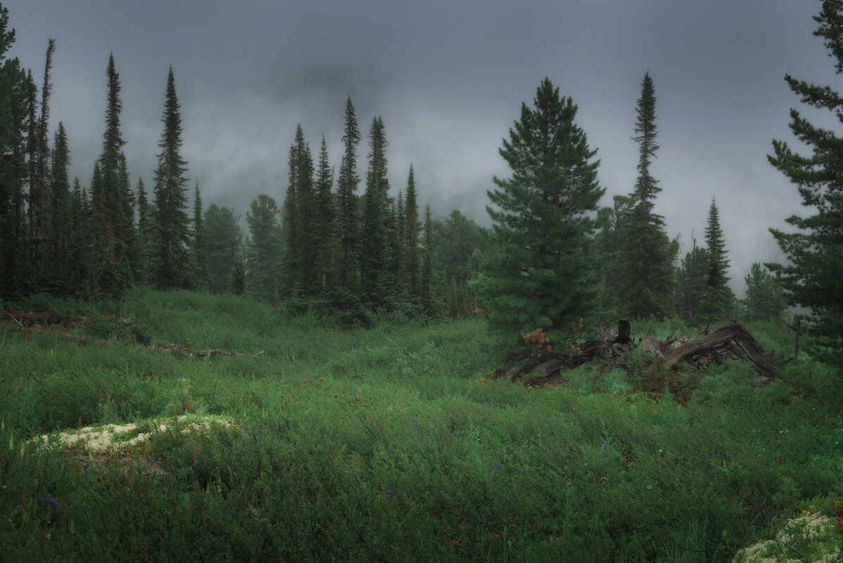 * - Александр Иванов * - Александр Иванов