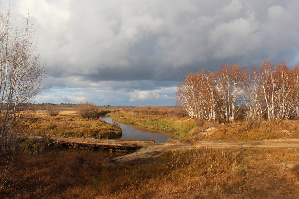 Осень в Нарыме - Сергей Никифоров