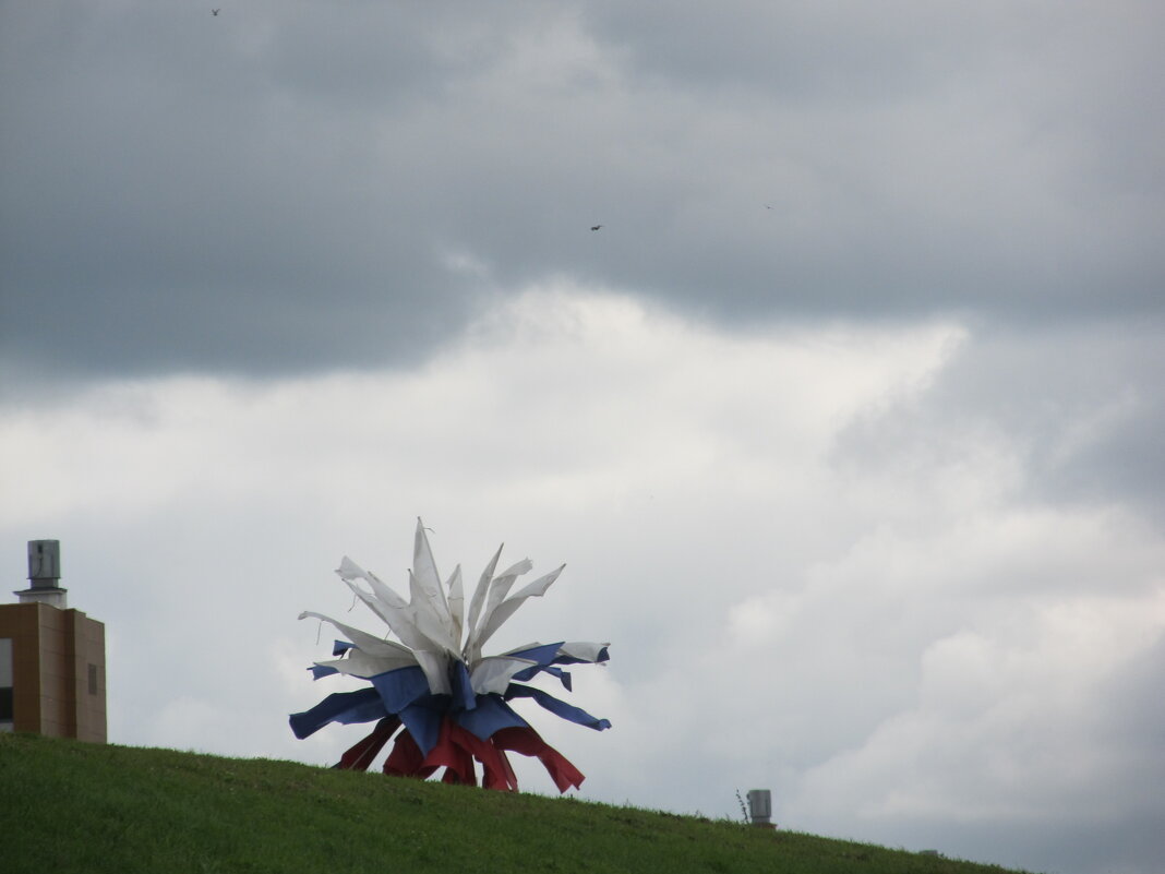 Академический - Елена Шаламова