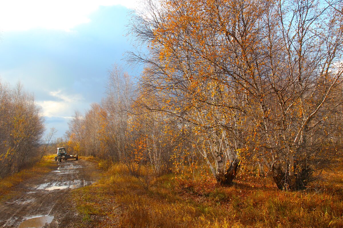 Осенняя дорога - Сергей Никифоров