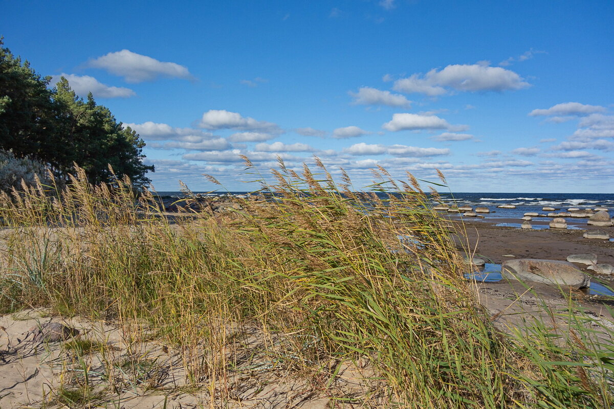 *** - Геннадий Порохов