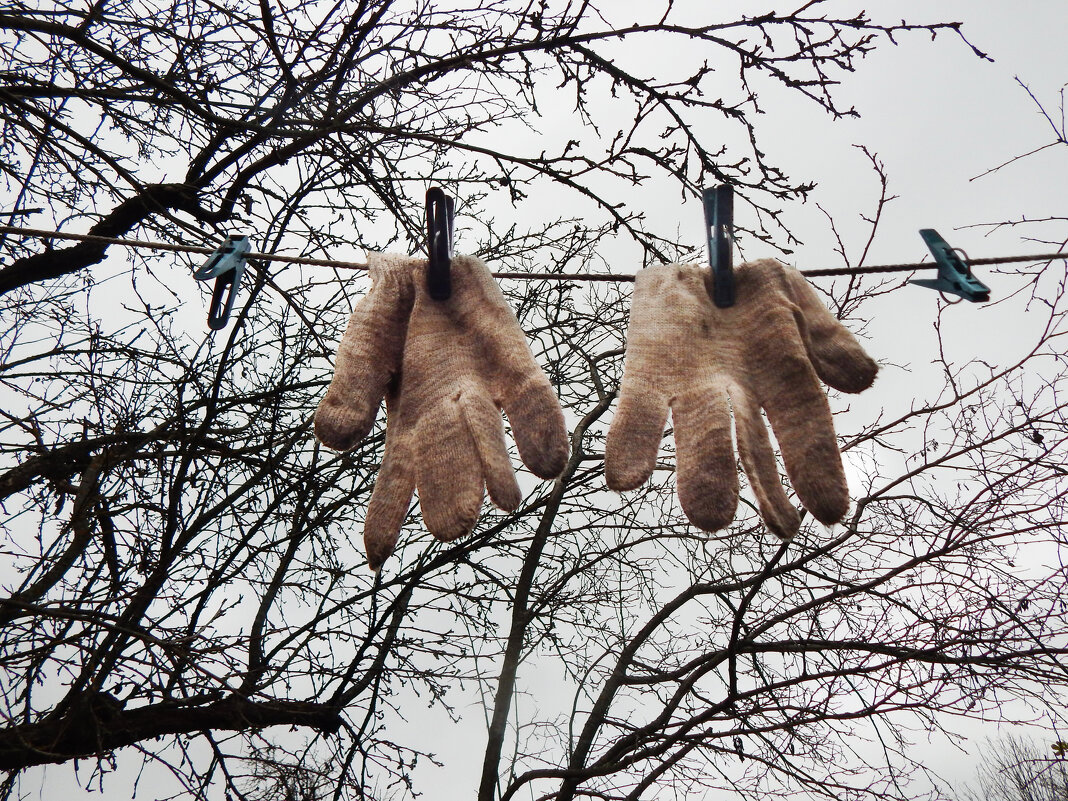 Дачный сезон закрыт - Александр Ковальчук