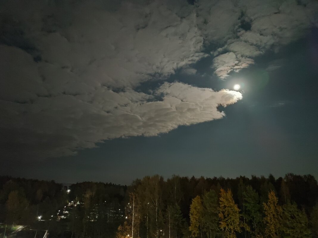 Покушение на луну небесного крокодила - Ирина 