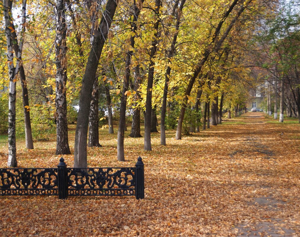 Осень в городе - Наталия Григорьева