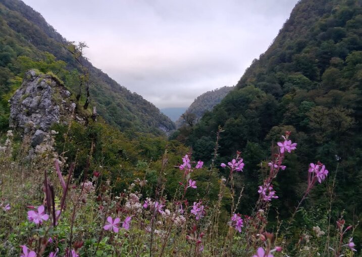 НА ГРАНИЦЕ С АБХАЗИЕЙ - Tata Wolf