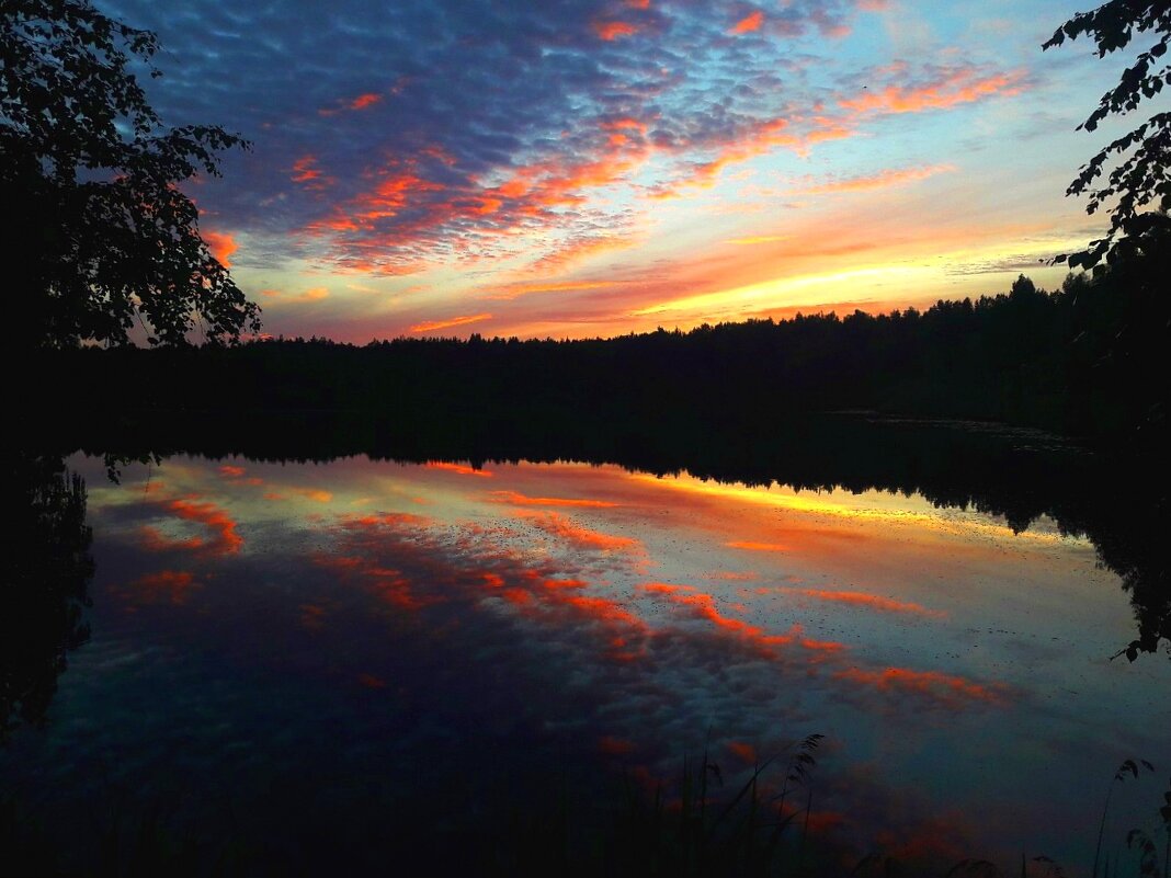 Осень в небе - Светлана 13.06.
