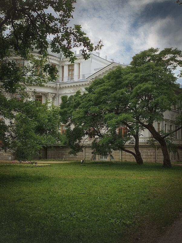 Елагинский дворец, утопающий в зелени. - Лилия *